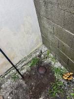 Nos prestations sur le secteur de Vendays Montalivet dans le Médoc