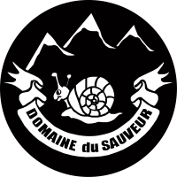 Location chalets Luz-Saint-Sauveur Domaine du sauveur